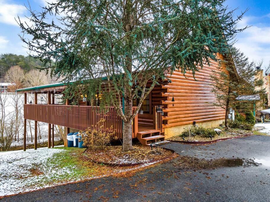Cabin With New Hot Tub, Near Dollywood .2Bd.2Ba.Sleeps6.Bbq セバービル エクステリア 写真